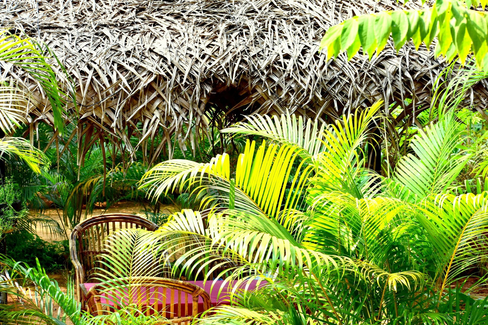 Patnem Garden Resort Patnem Beach Eksteriør bilde
